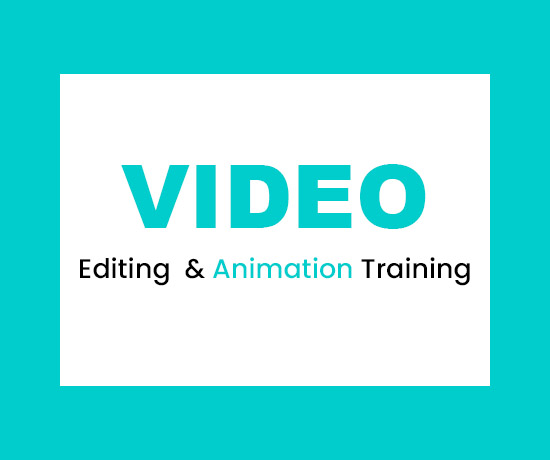 Video & Animation Training
